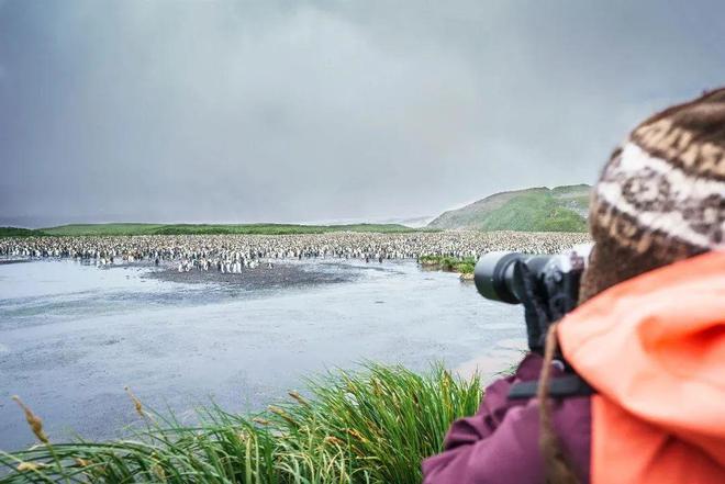之旅——南极五岛史诗大环线澳门新葡京app极致奢华(图3) 之旅——南极五岛史诗大环线澳门新葡京app极致奢华(图3)
