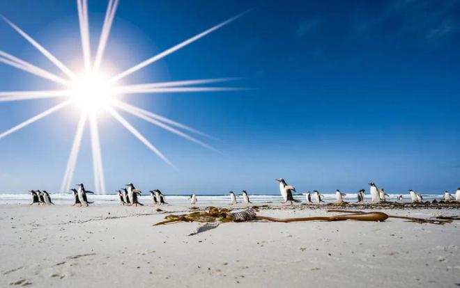 之旅——南极五岛史诗大环线澳门新葡京app极致奢华(图10) 之旅——南极五岛史诗大环线澳门新葡京app极致奢华(图10)