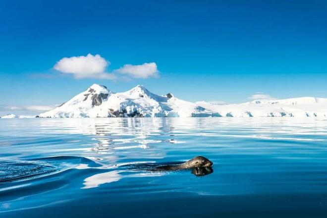 之旅——南极五岛史诗大环线澳门新葡京app极致奢华(图11) 之旅——南极五岛史诗大环线澳门新葡京app极致奢华(图11)